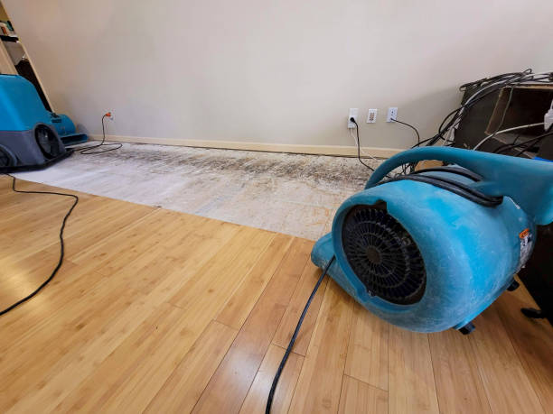 Professional Basement Flood Cleanup technician working in Springfield, NJ